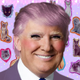Illustration for article titled Lets Make Anime Great Again with Donald Trump!